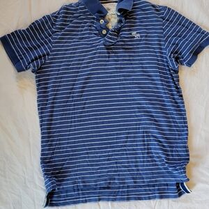 Abercrombie & Fitch Blue Striped Polo Shirt